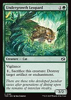 Undergrowth Leopard